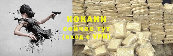 соль ск Инсар