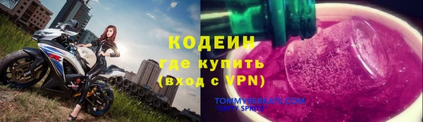 соль ск Инсар