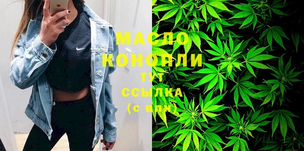 соль ск Инсар