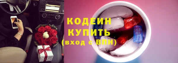 соль ск Инсар