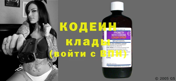 соль ск Инсар