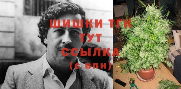 спайс Инта