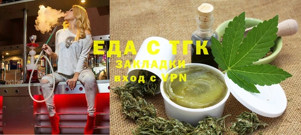соль ск Инсар