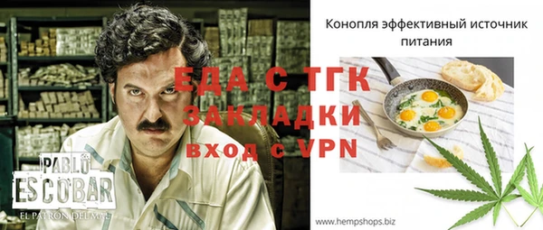 соль ск Инсар