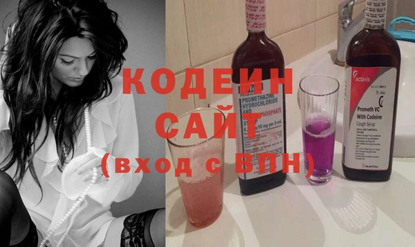 соль ск Инсар